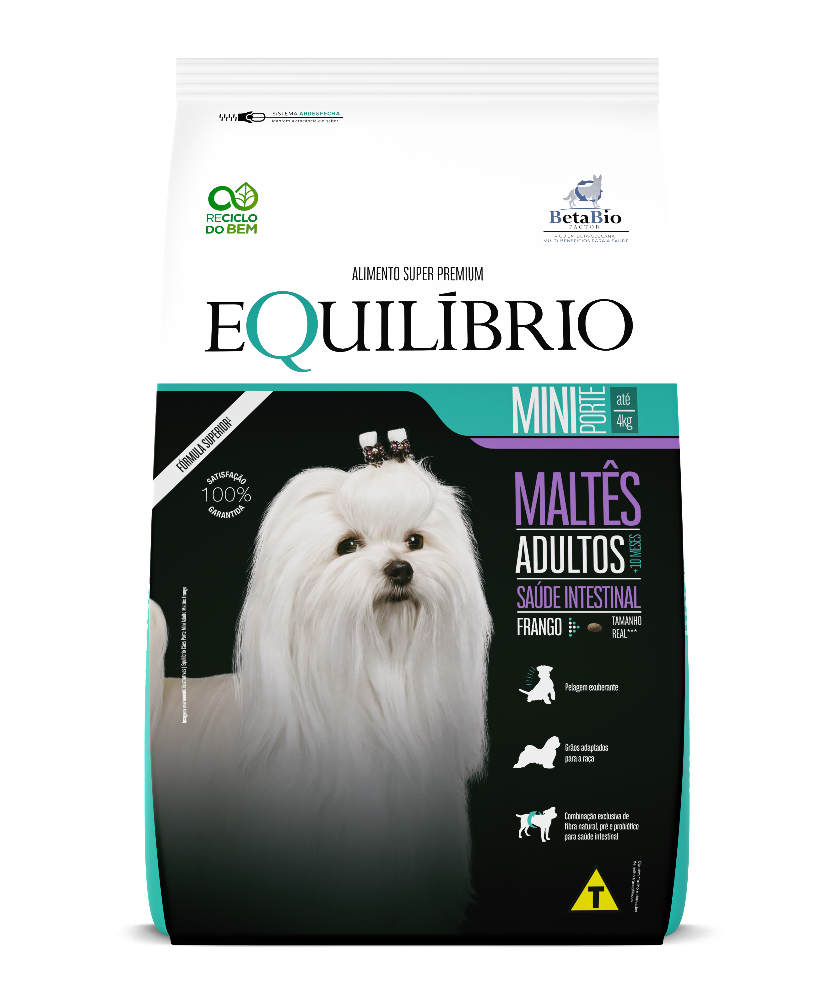 Mini Dogs Adult Maltese