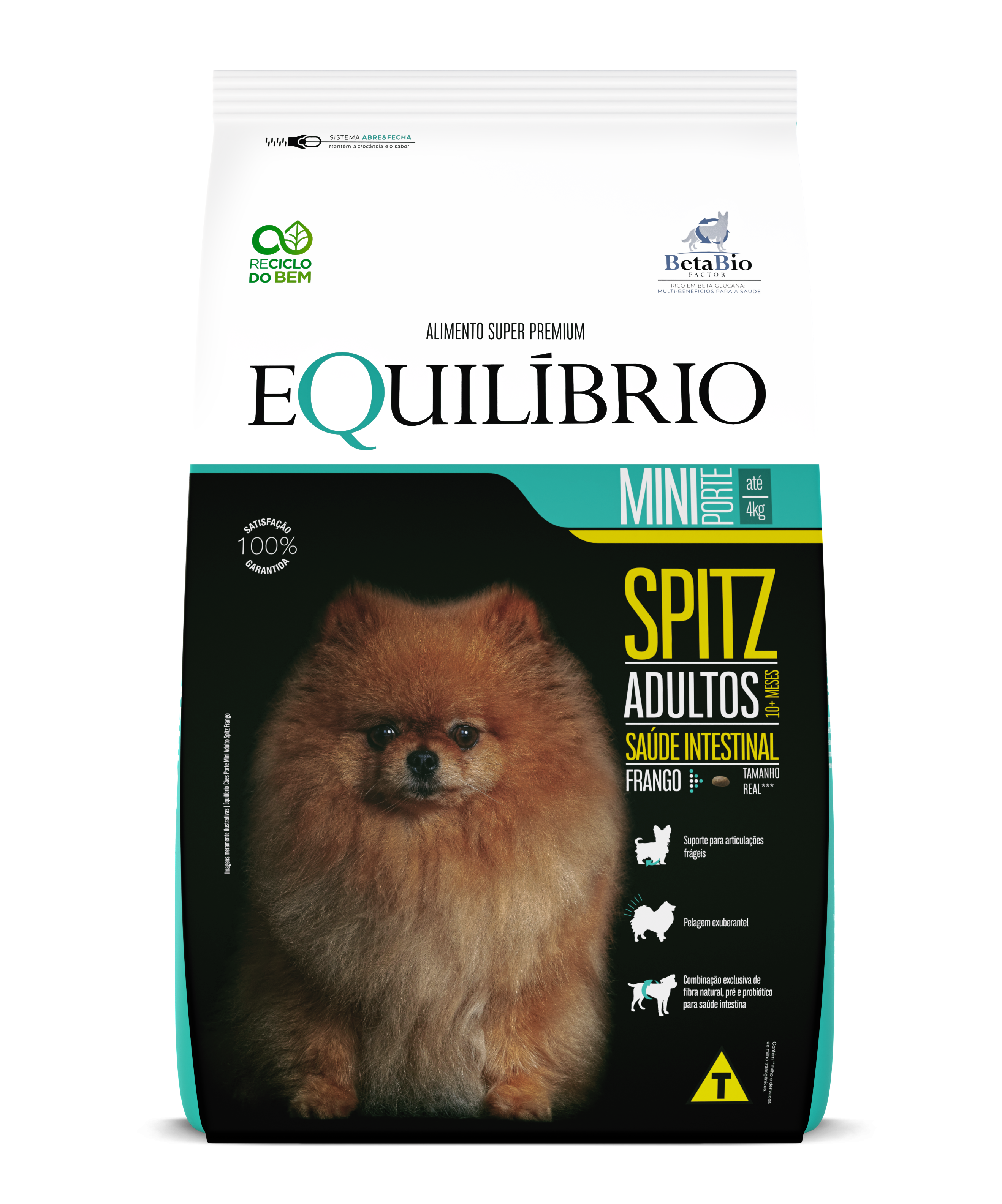 Mini Dogs Adult Spitz