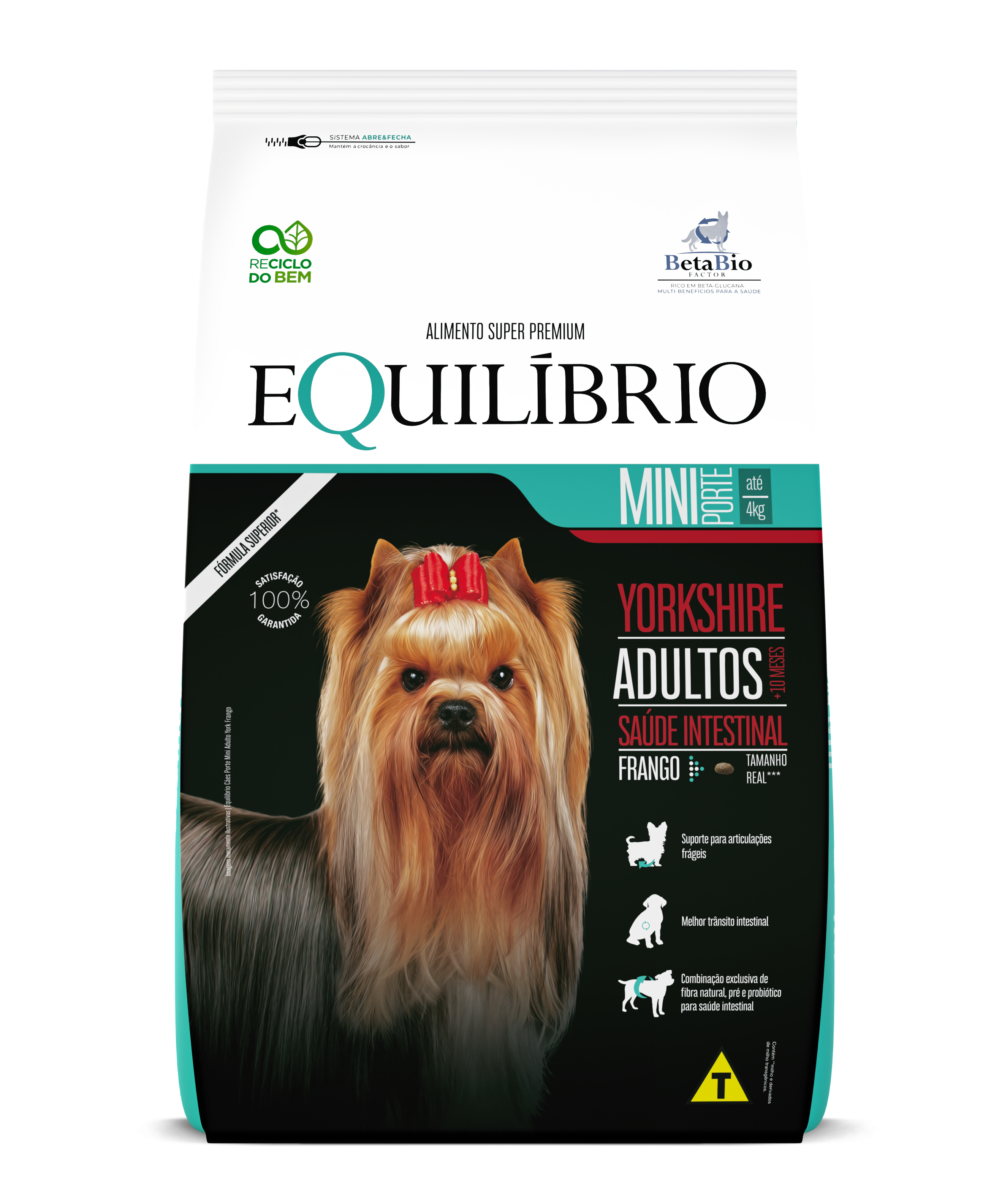 Mini Dogs Adult Yorkshire Terrier